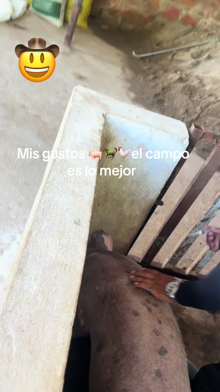 @🤍👼🥷gocho🙏🏻🇻🇪🤴🇻🇪🙏🏻