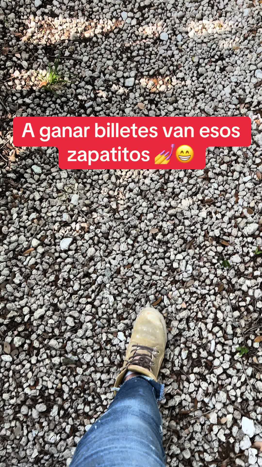 @Ka 🪼