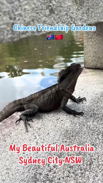 @🇦🇺 ANDY🤠🇦🇺