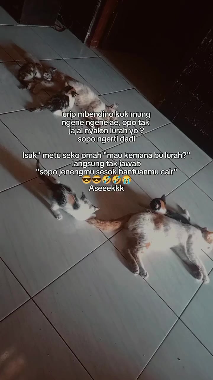 @❤️WIDYA❤️