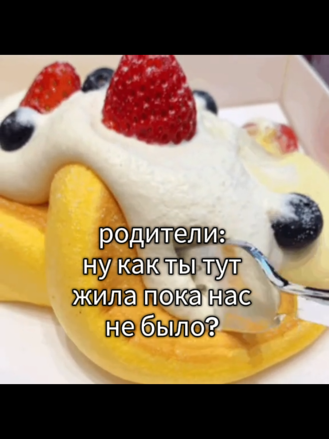 @shiki.void