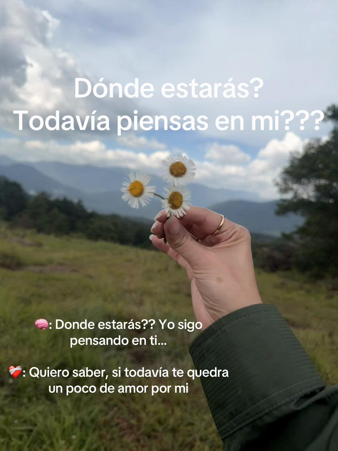 @mishell_hurtarte