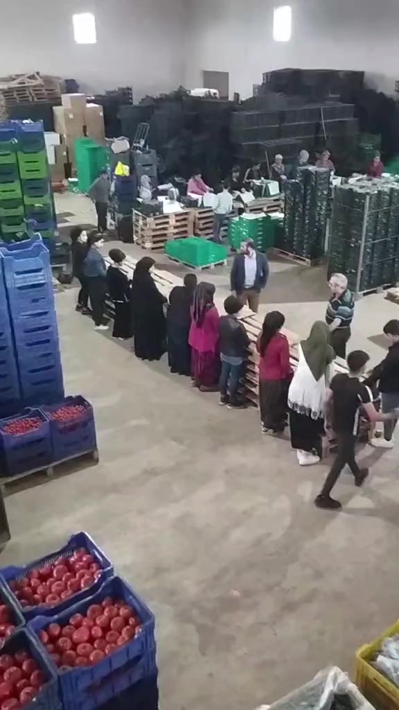 @★خـᬼ🇸🇾⑅⃝ـالد𓅇꙰᭄