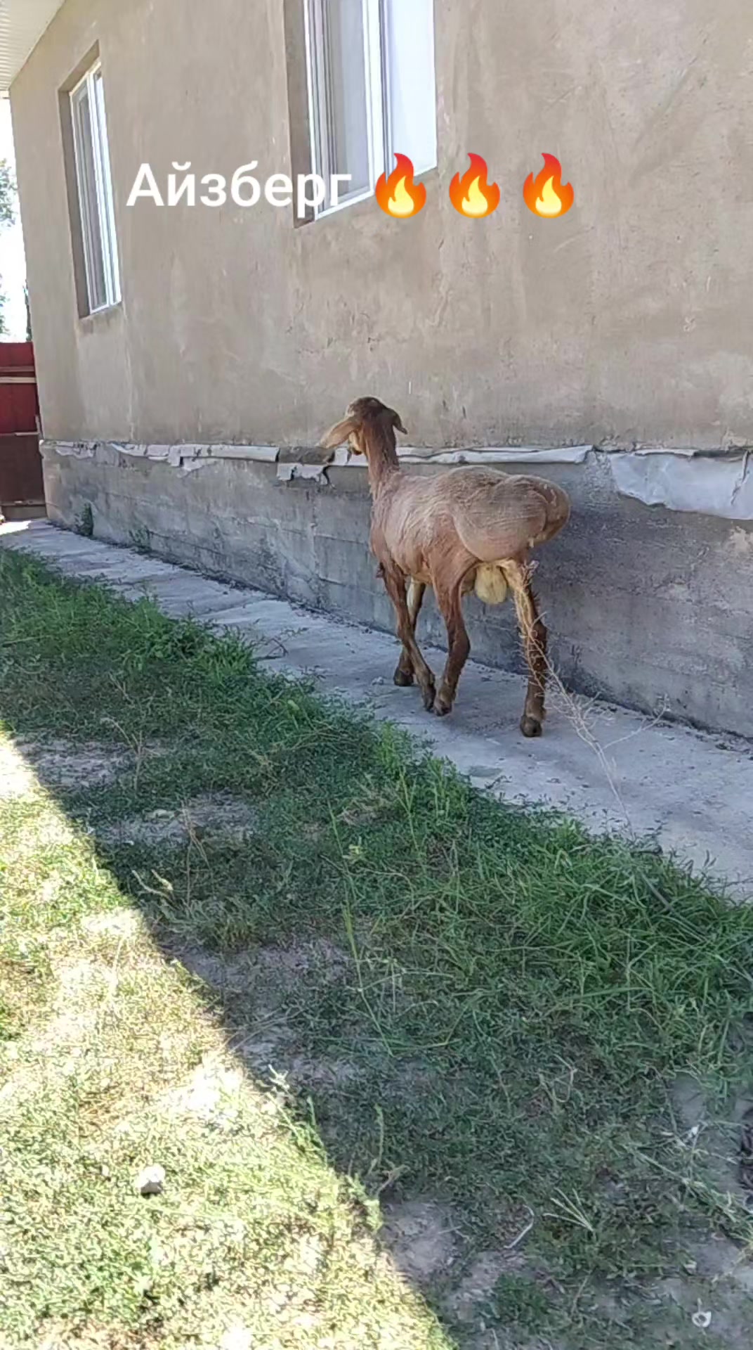 @Рахат
