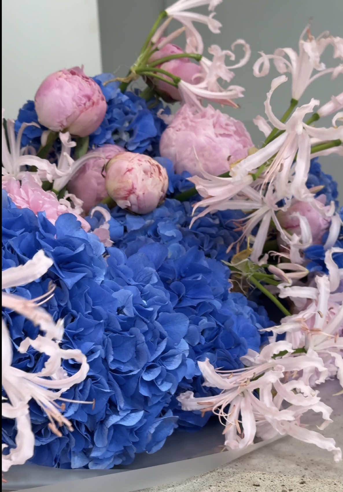 @iubidubi flowers