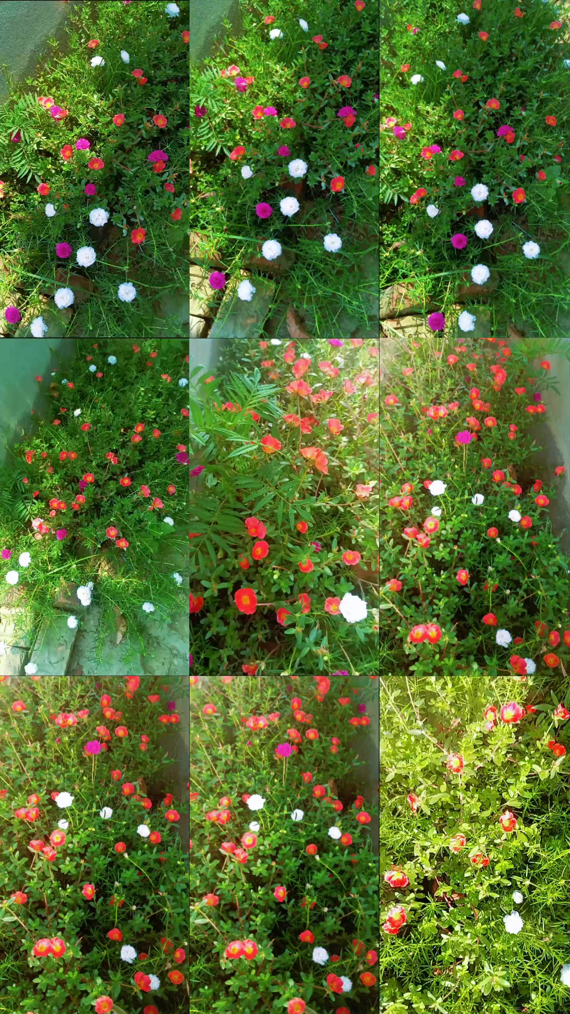 @Ajay Kumar paswan 051