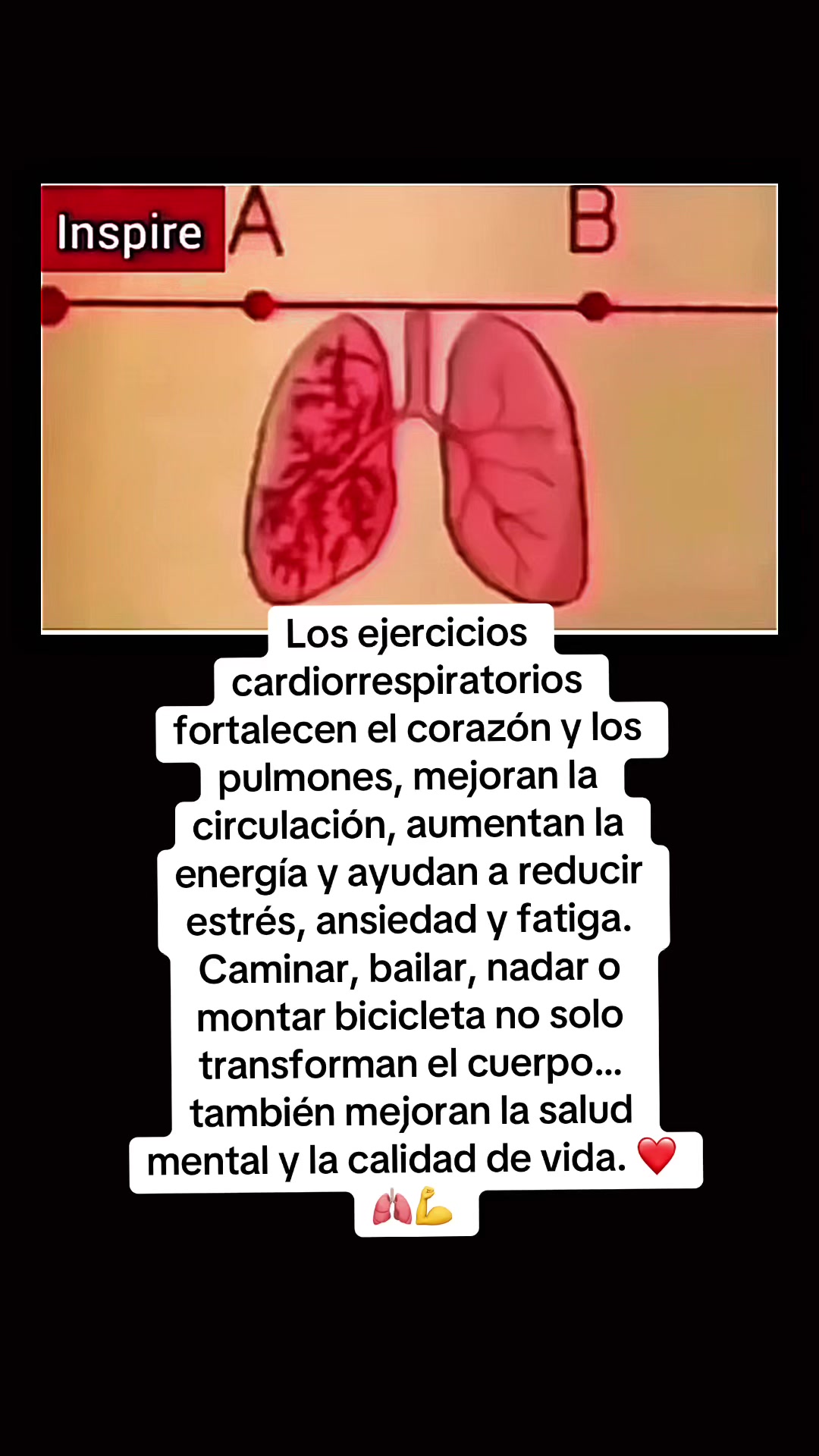 @Psicologaampcort✨🦋