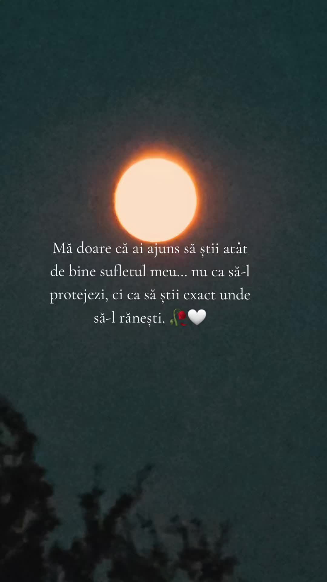 @♡ G&acirc;nduri care răm&acirc;n ♡
