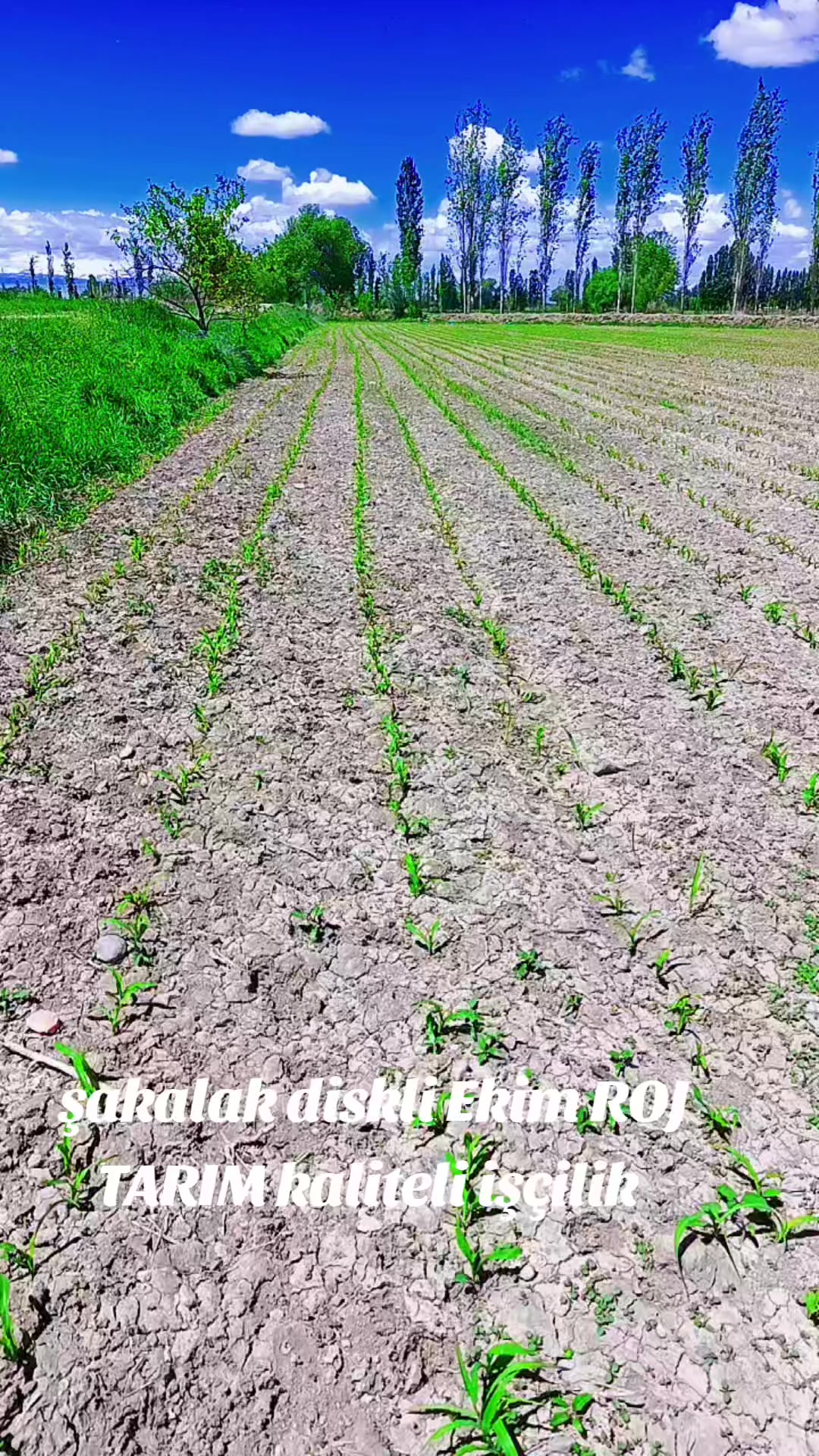 @Nurhat Eksik