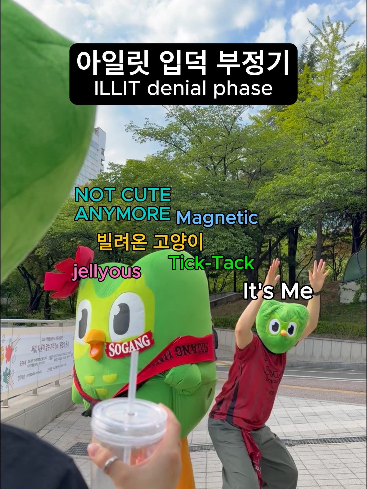 @duolingokorea
