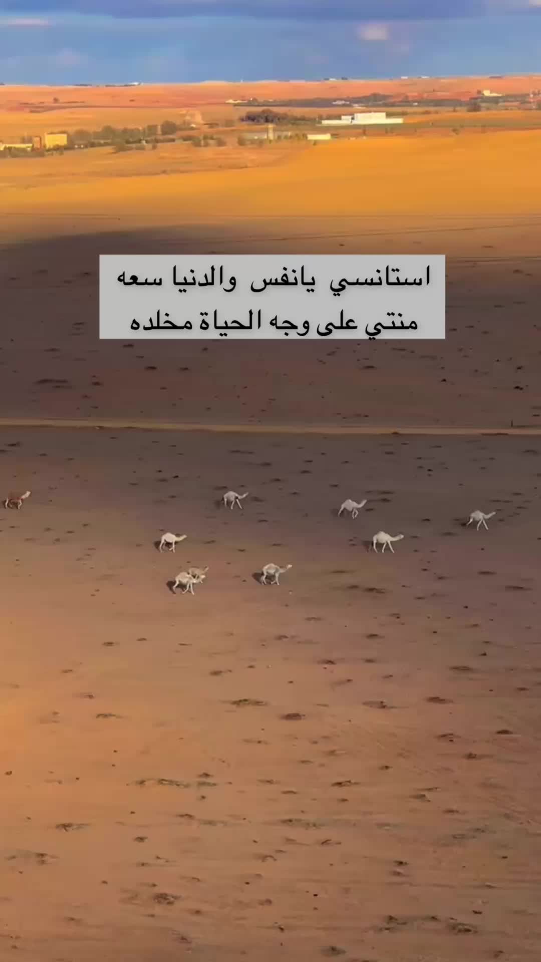 @شعور