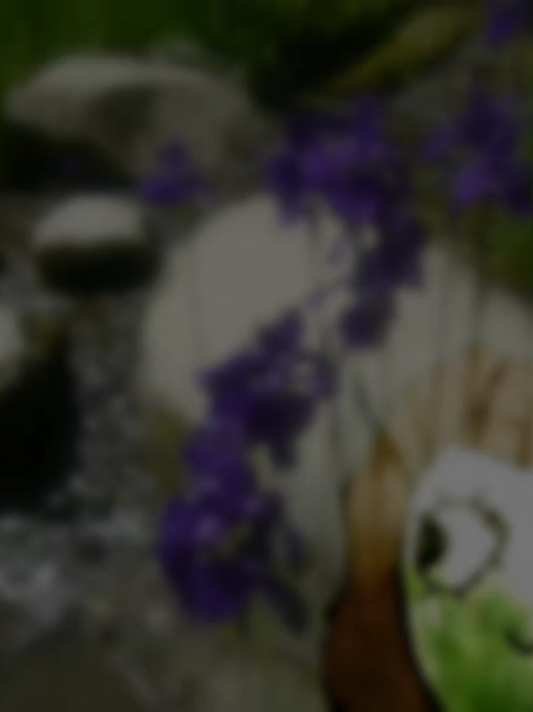 @Ო-ႱyჁic  ᥫ᭡