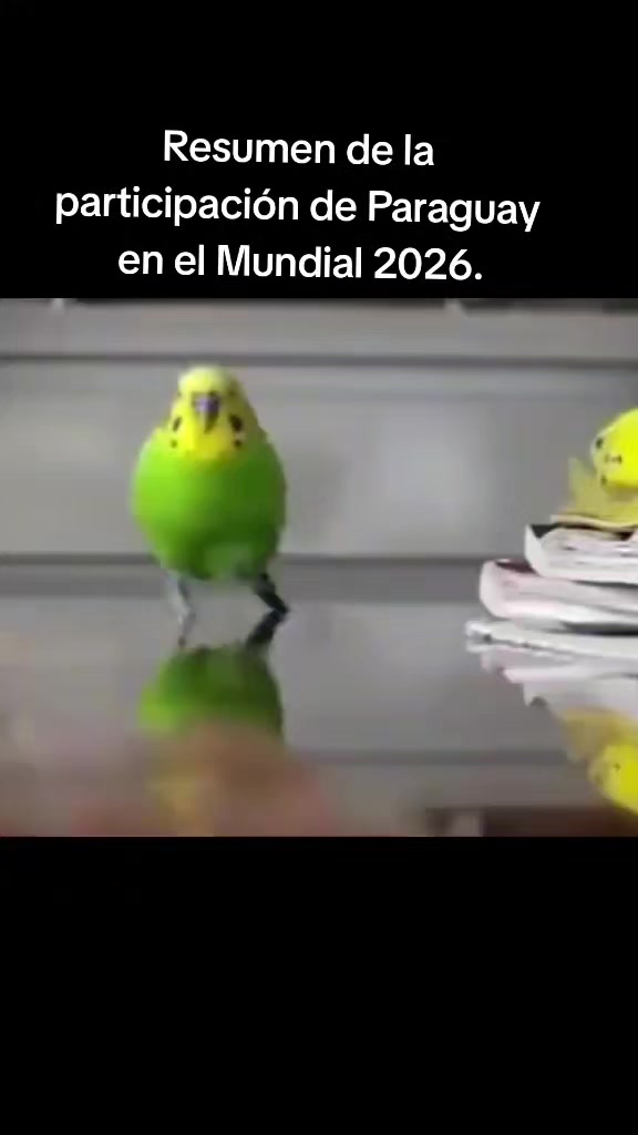 @Profe Laura María