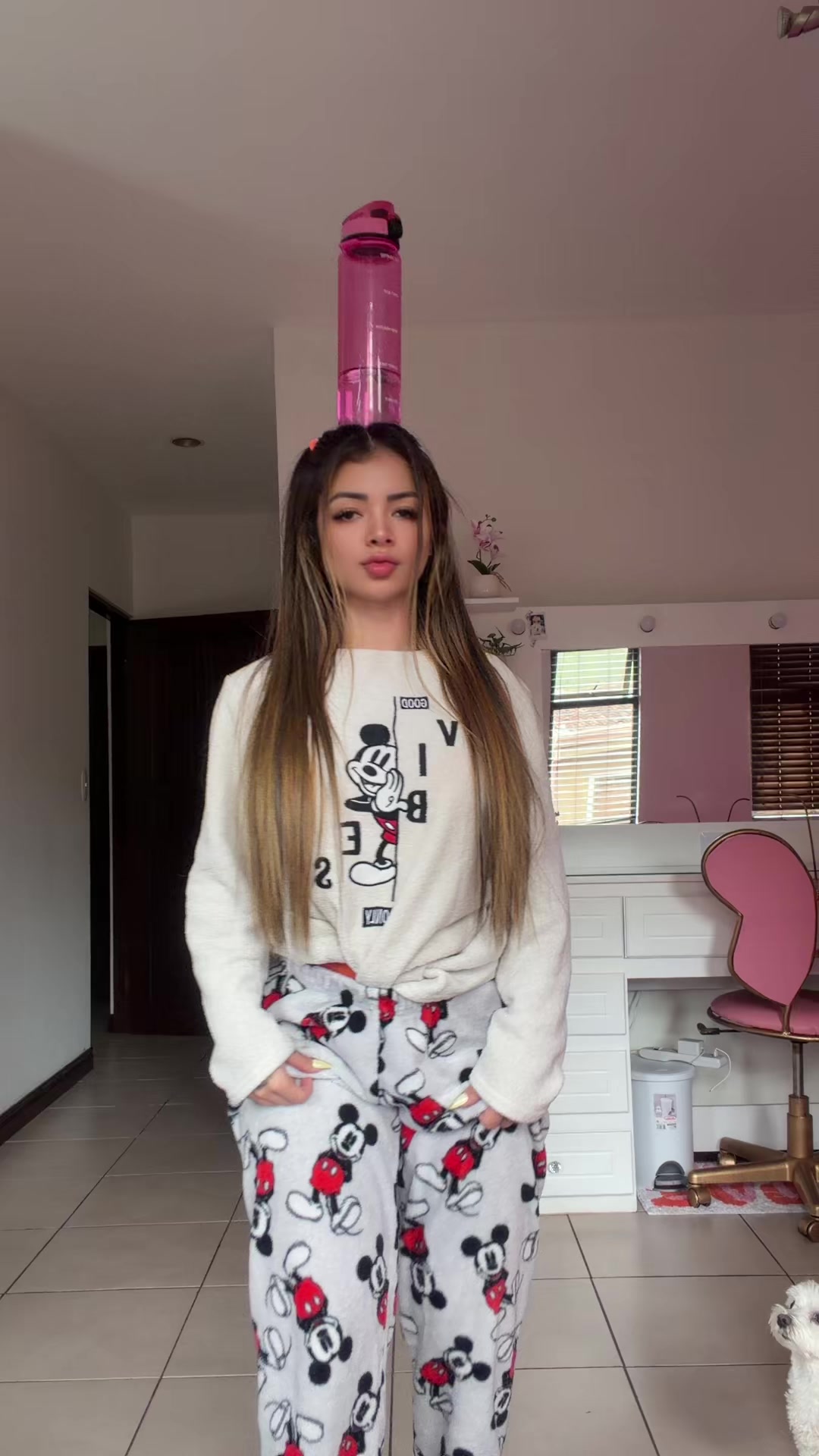 @MeliAlfaroOficial