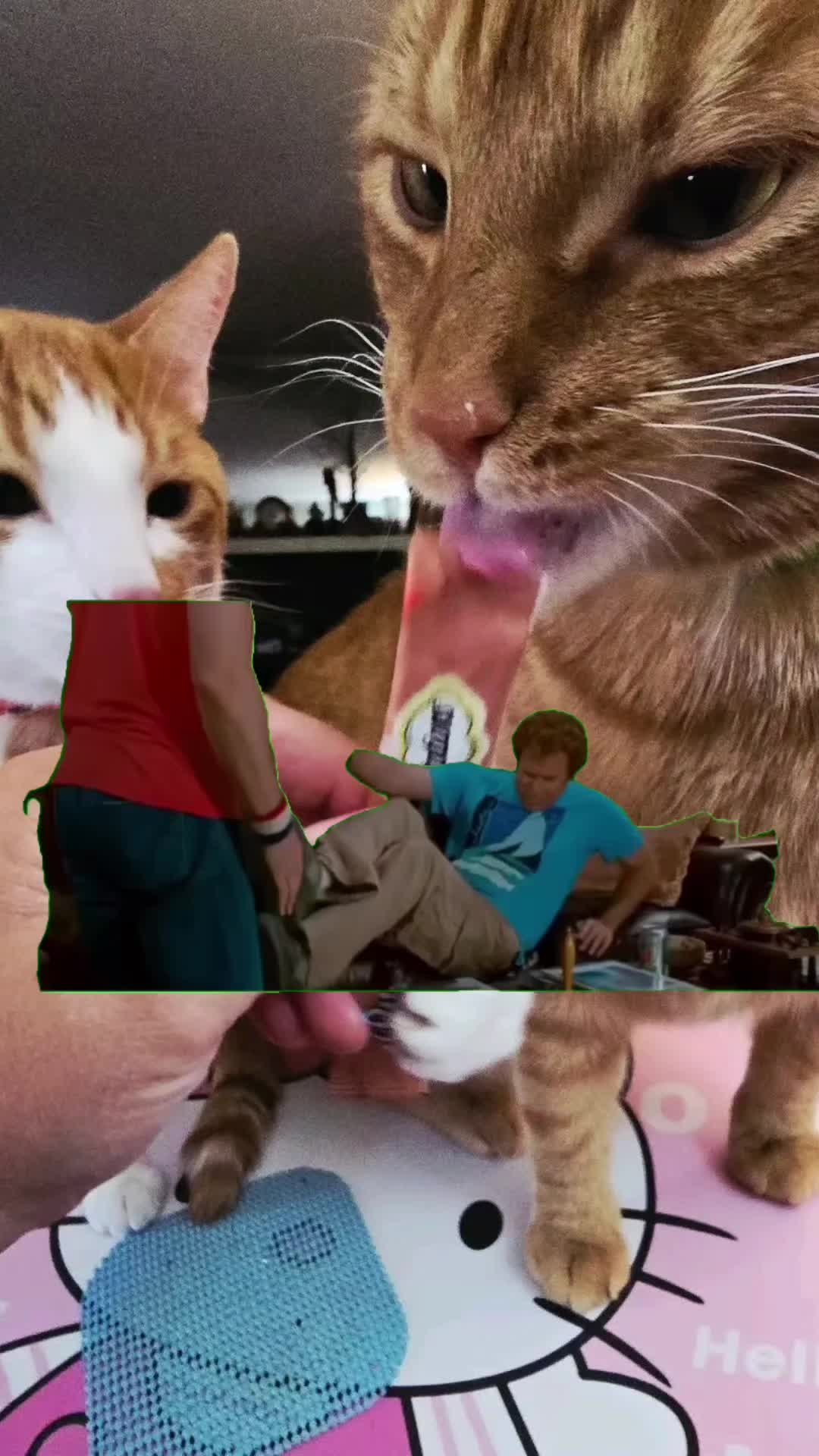 @SudzyDudz77❤️🐱💚
