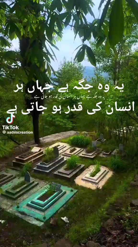 @alishymalik01