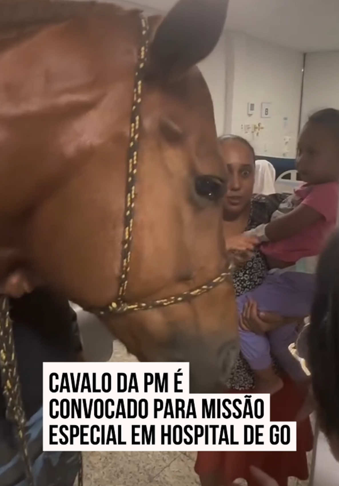 @Metrópoles Oficial