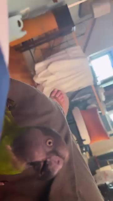 @noworriesmylove