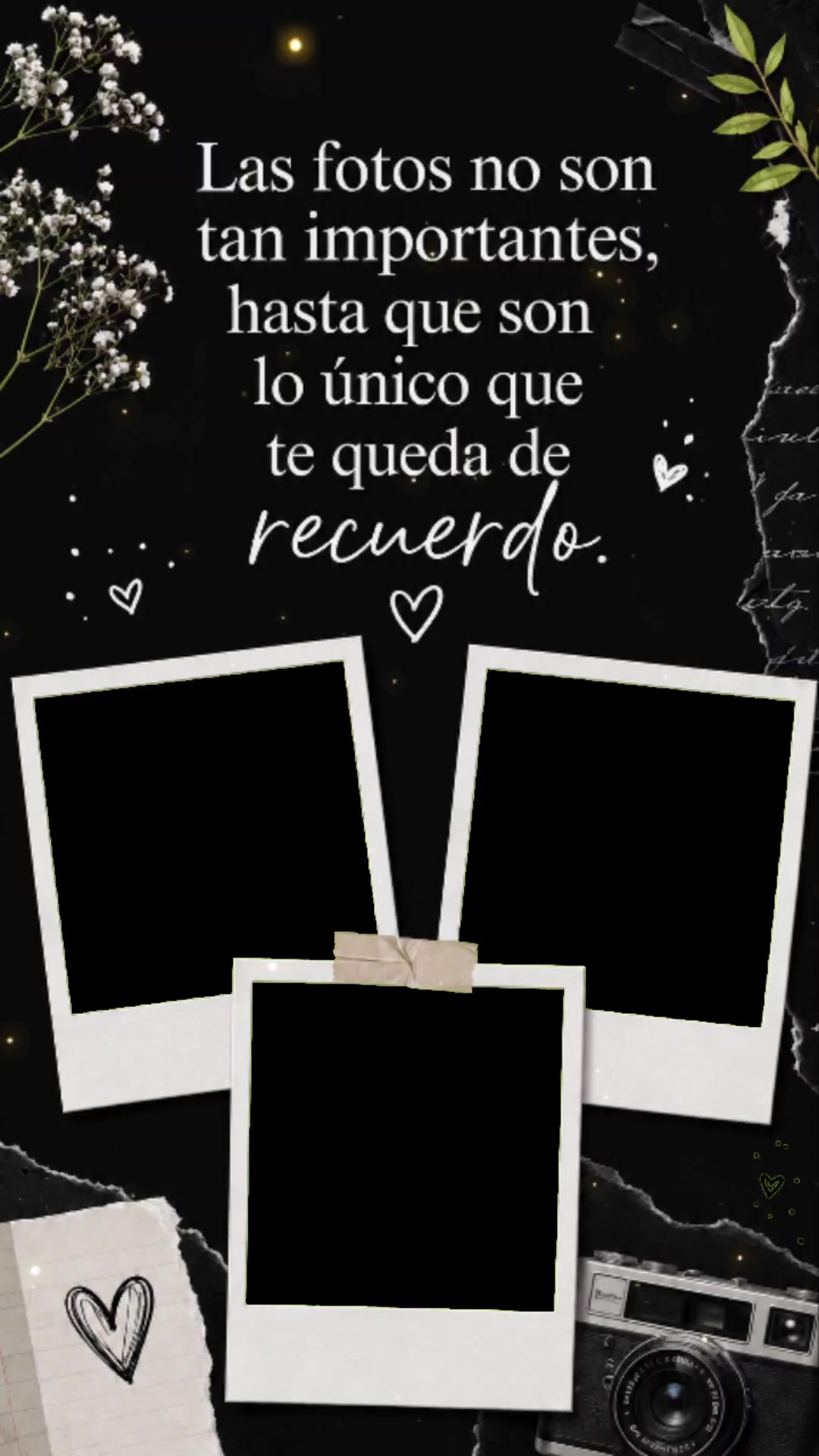@Monik Delgado🦊