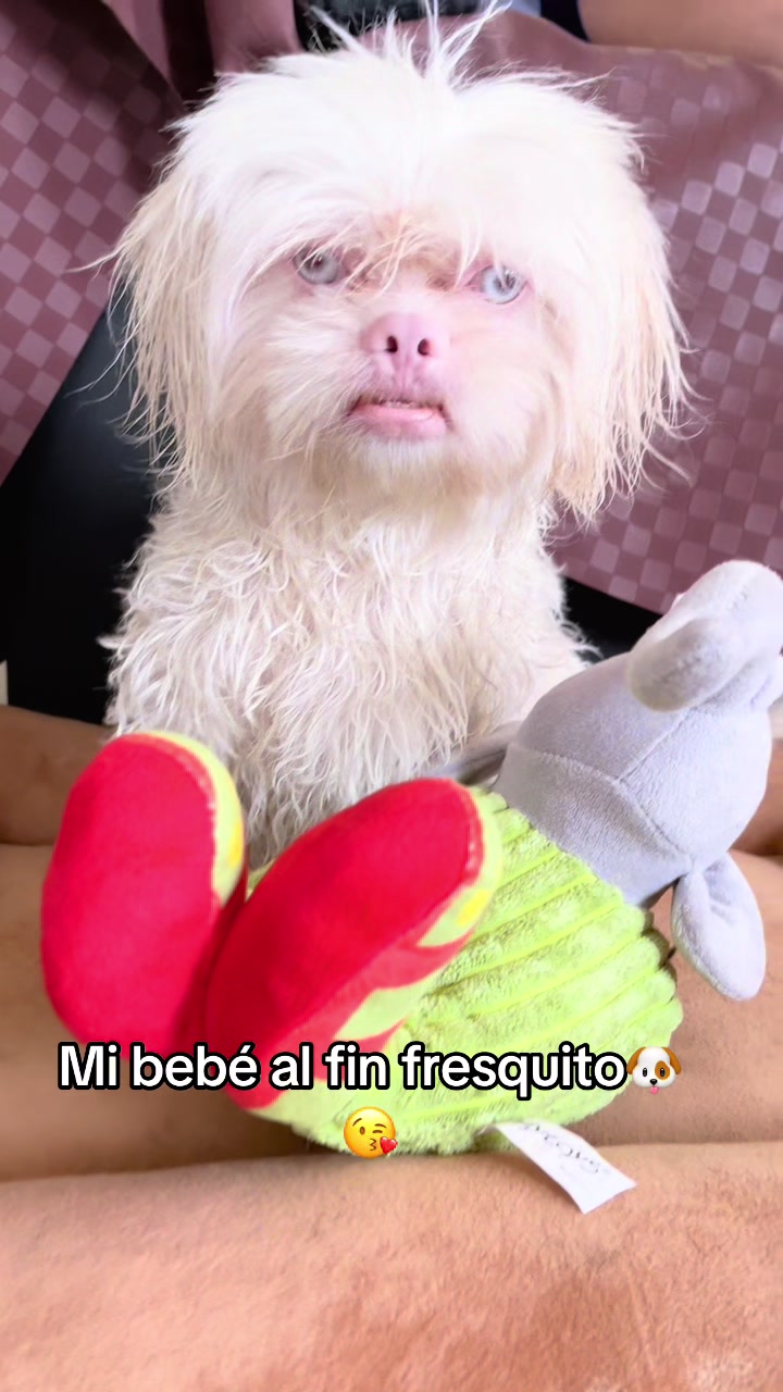 @🐶HILDA Y BERRY EL ALBINITO🐶