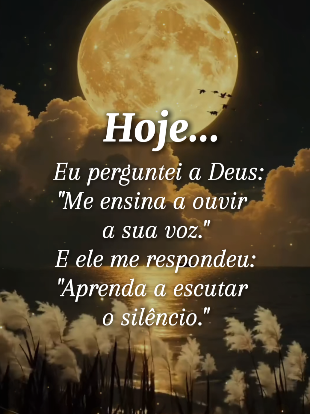 @Olga latchuk