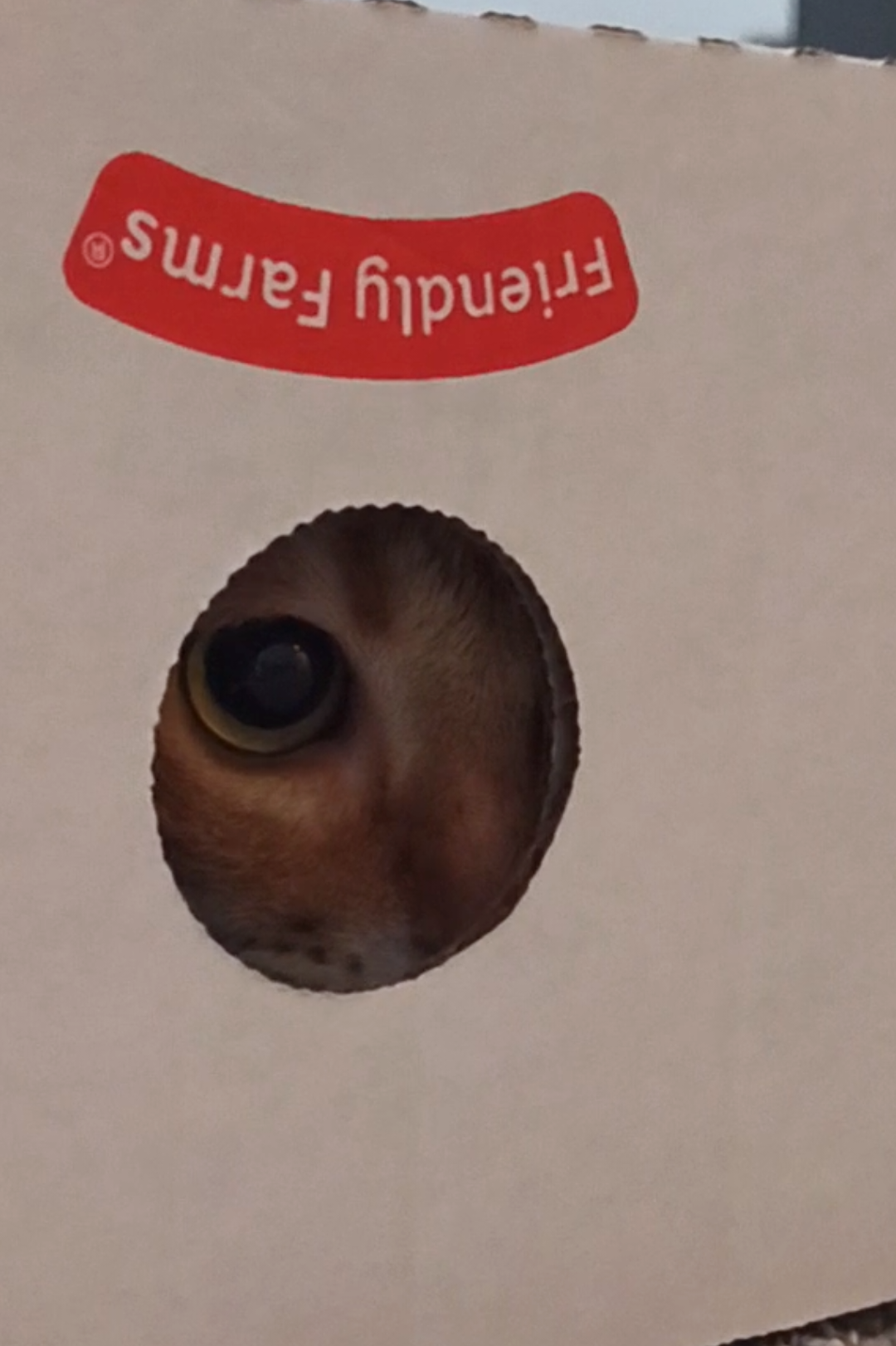 @runo