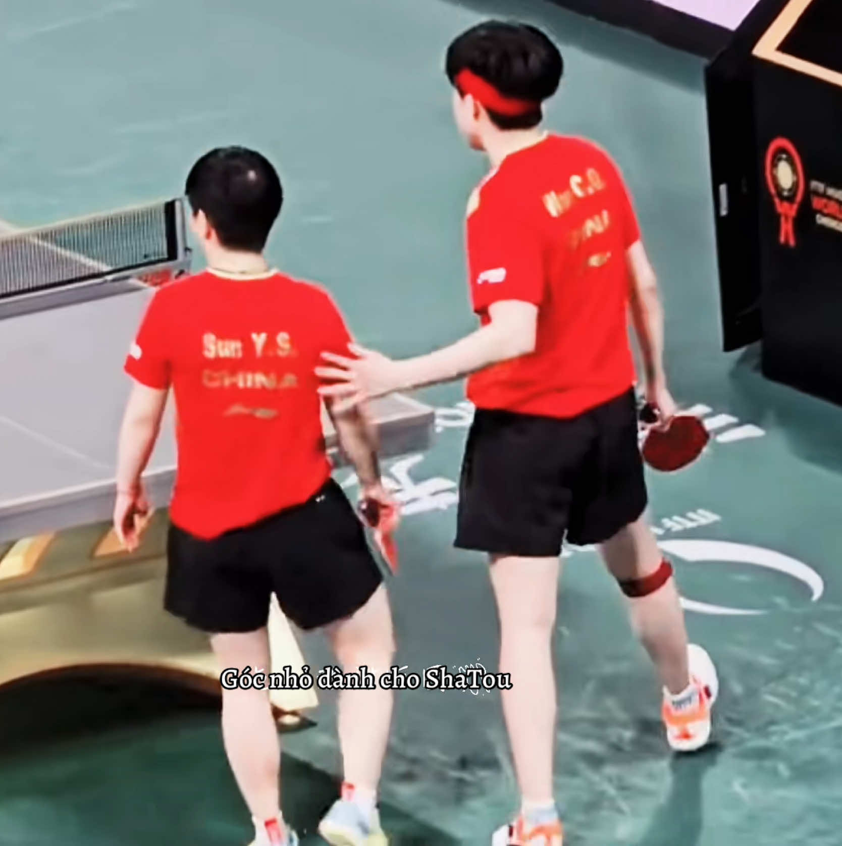 @Acc này chỉ có ShaTou🦁🦈❤️