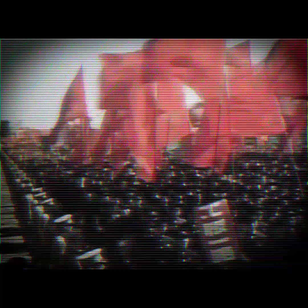 @伊陶☭