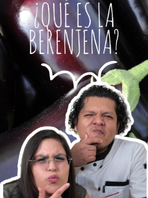 @Junica chef renal