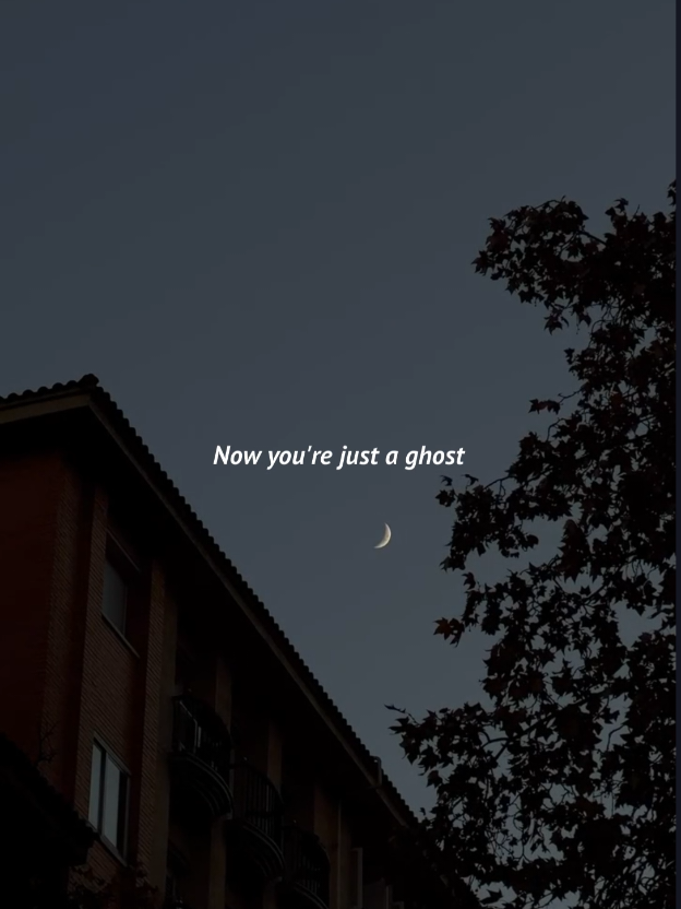 @Owl