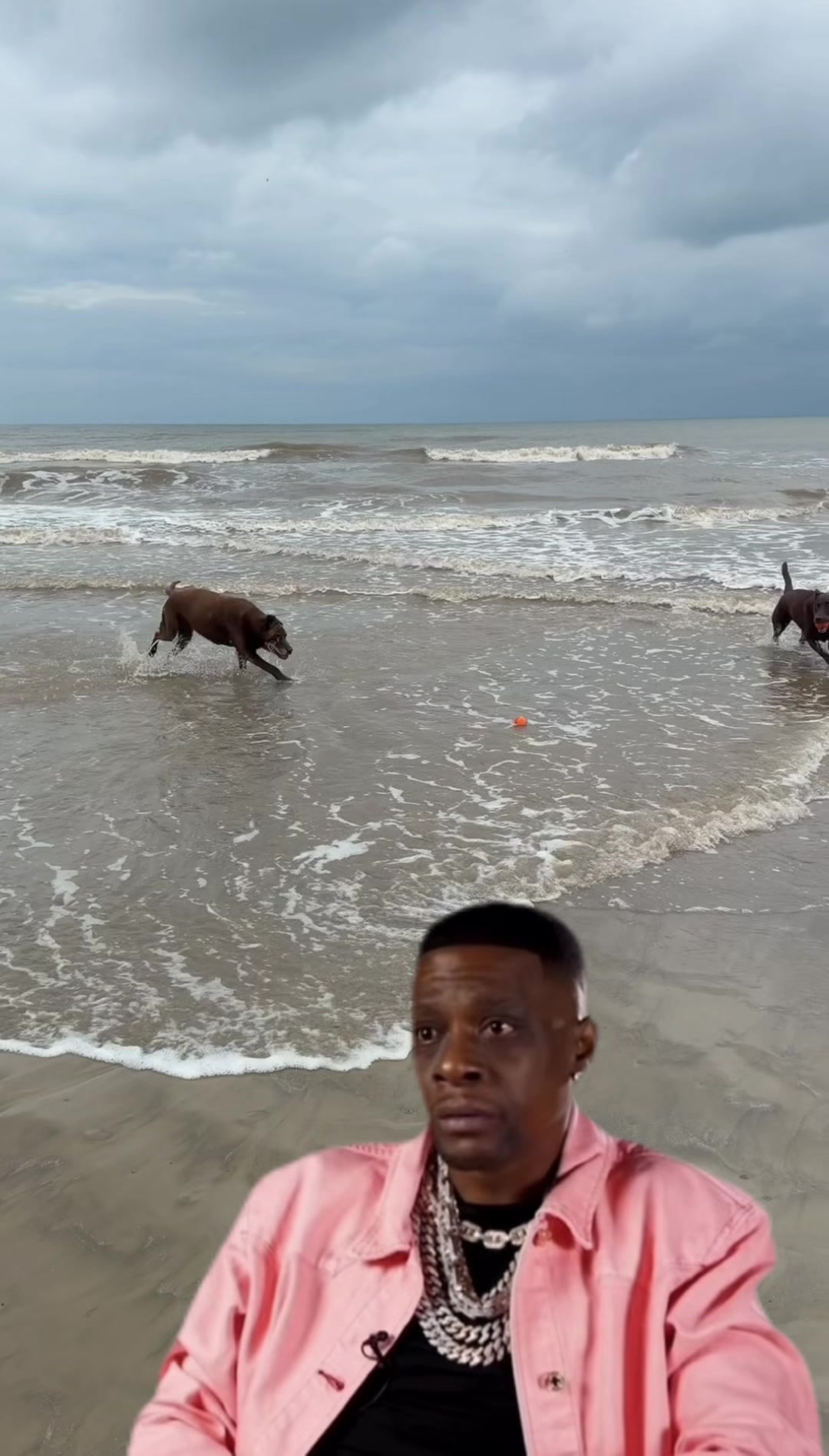 @Roman The Beach 🐾