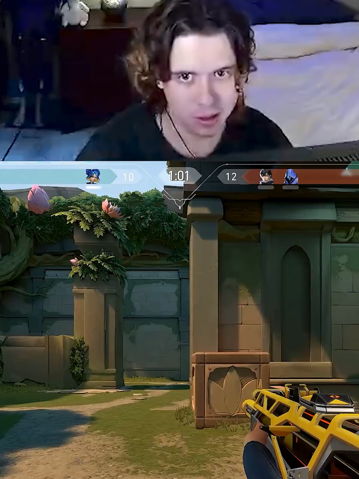@vexha
