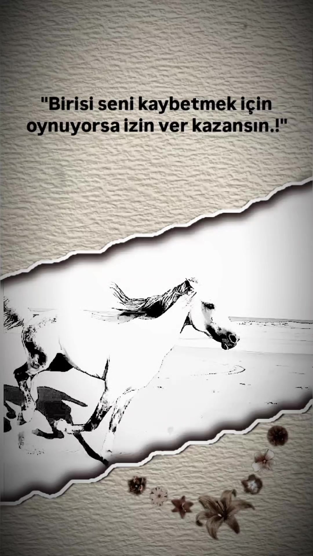 @🕊HAYAT BUYSA &Uuml;ST&Uuml; KALSIN🕊