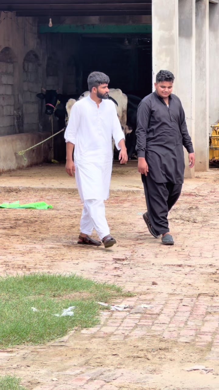 @Ibrahim Gujjar
