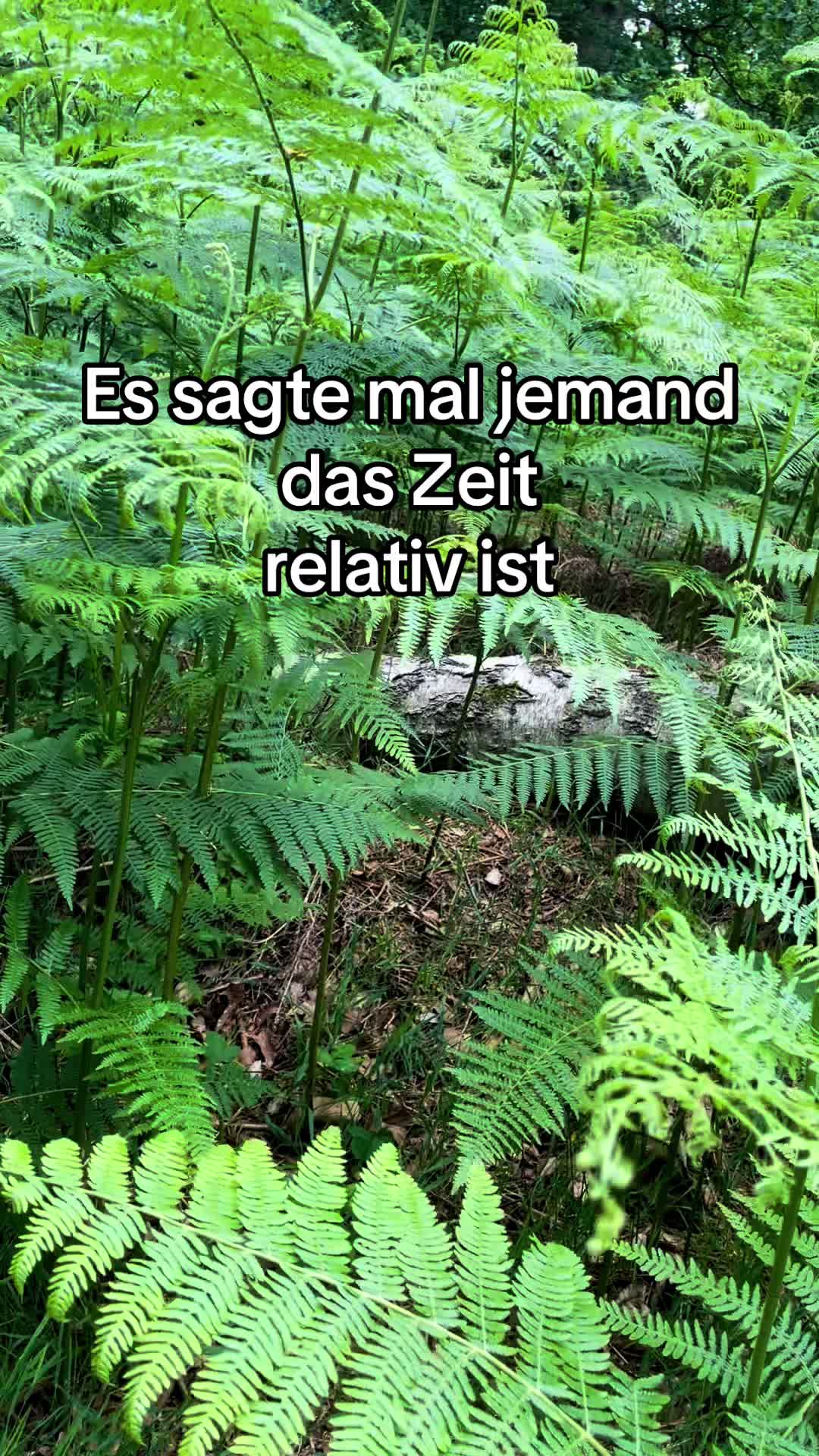 @Tobiwan323