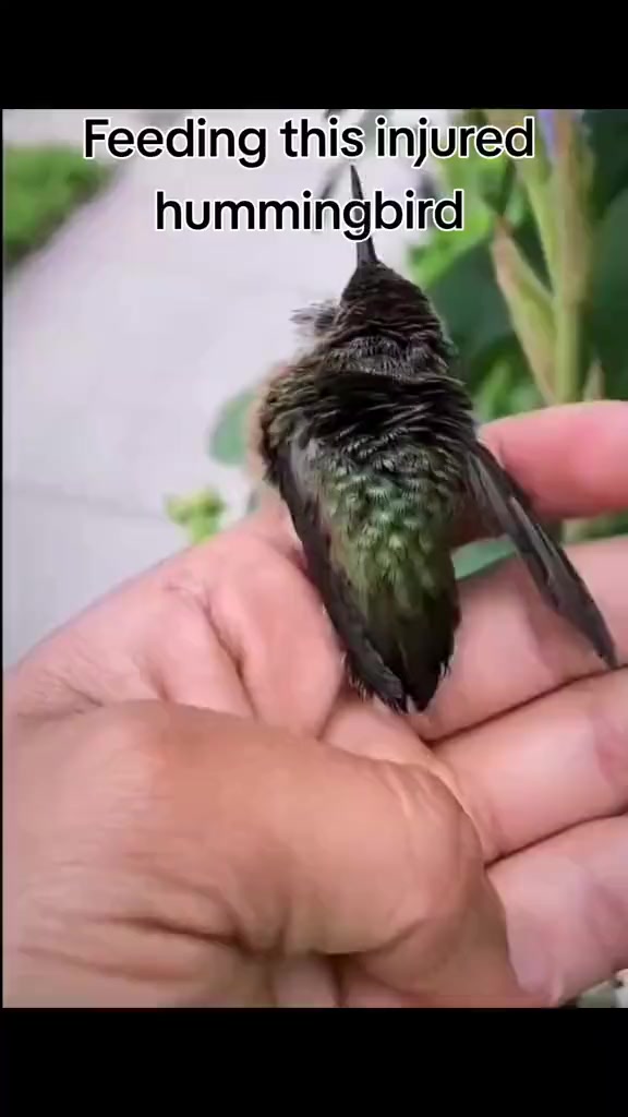@Bird Man🦅 🇿🇦