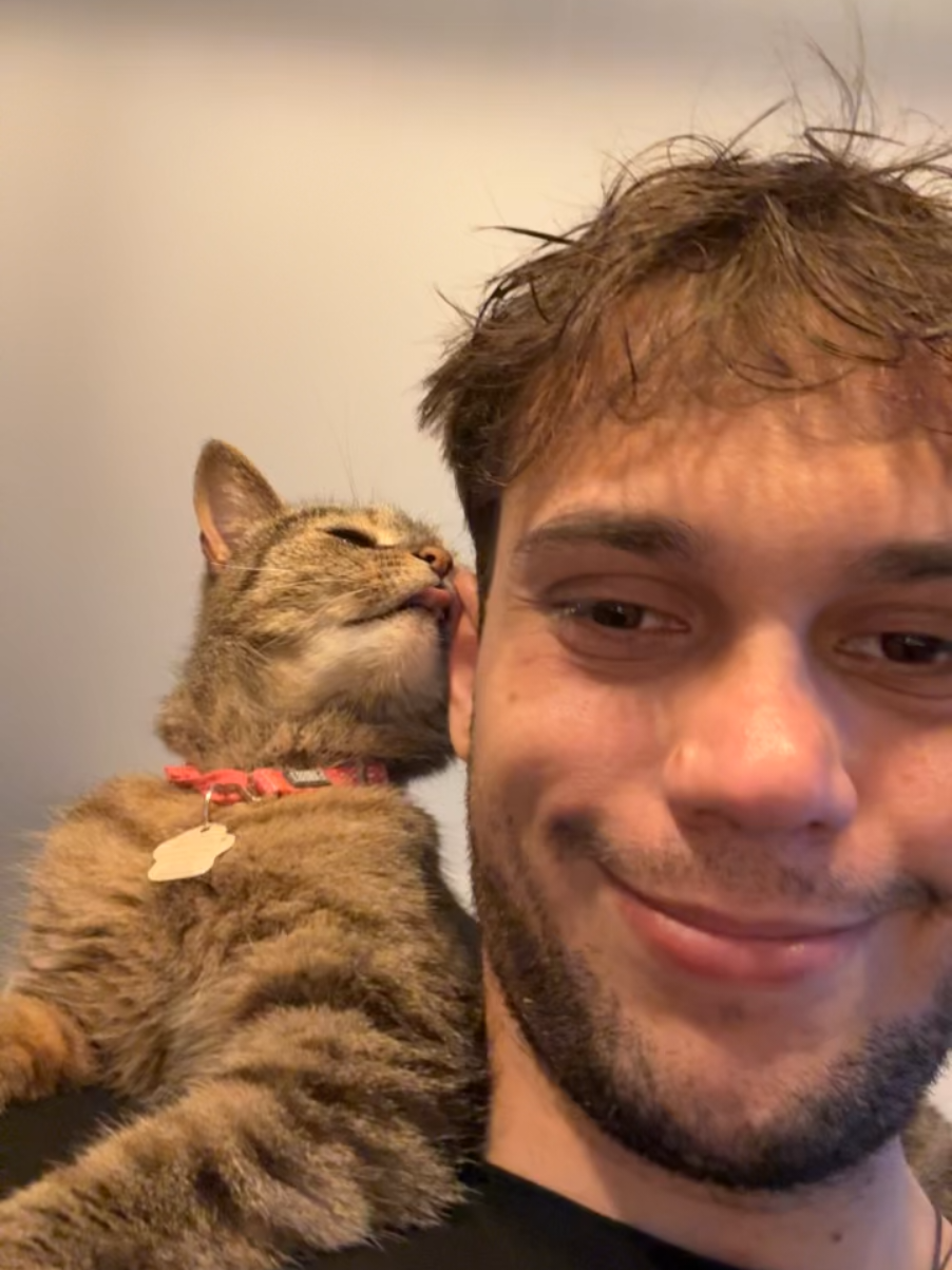 @Bellarda the cat