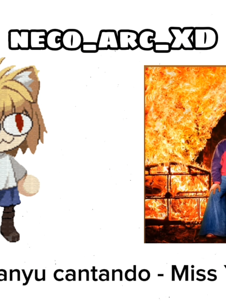 @neco_arc_XD