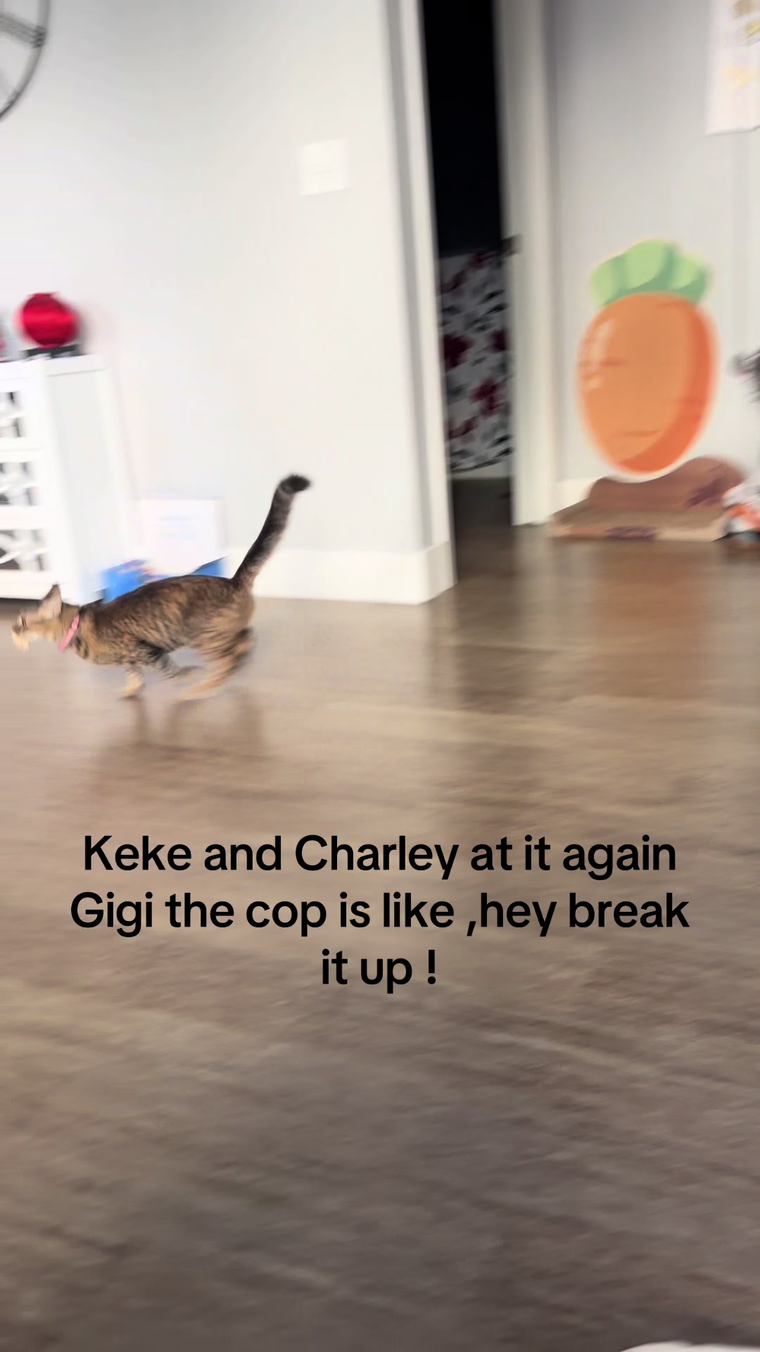 @Charley