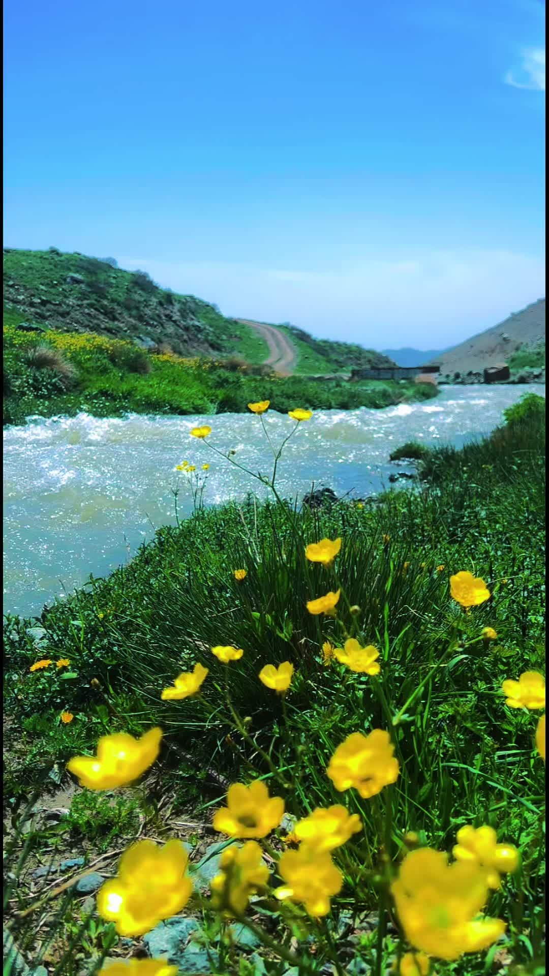 @hazharjameel