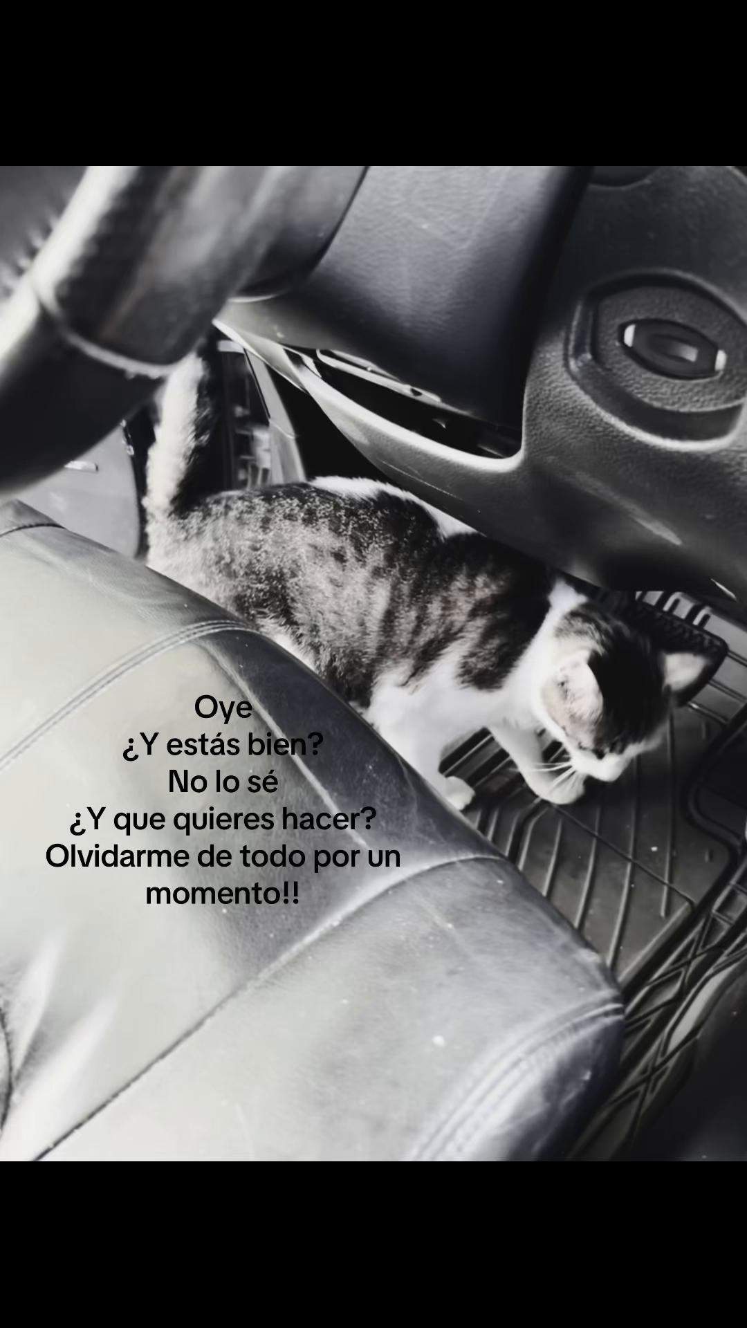 @🍒🌷CHAPARRA RM🌷🍒