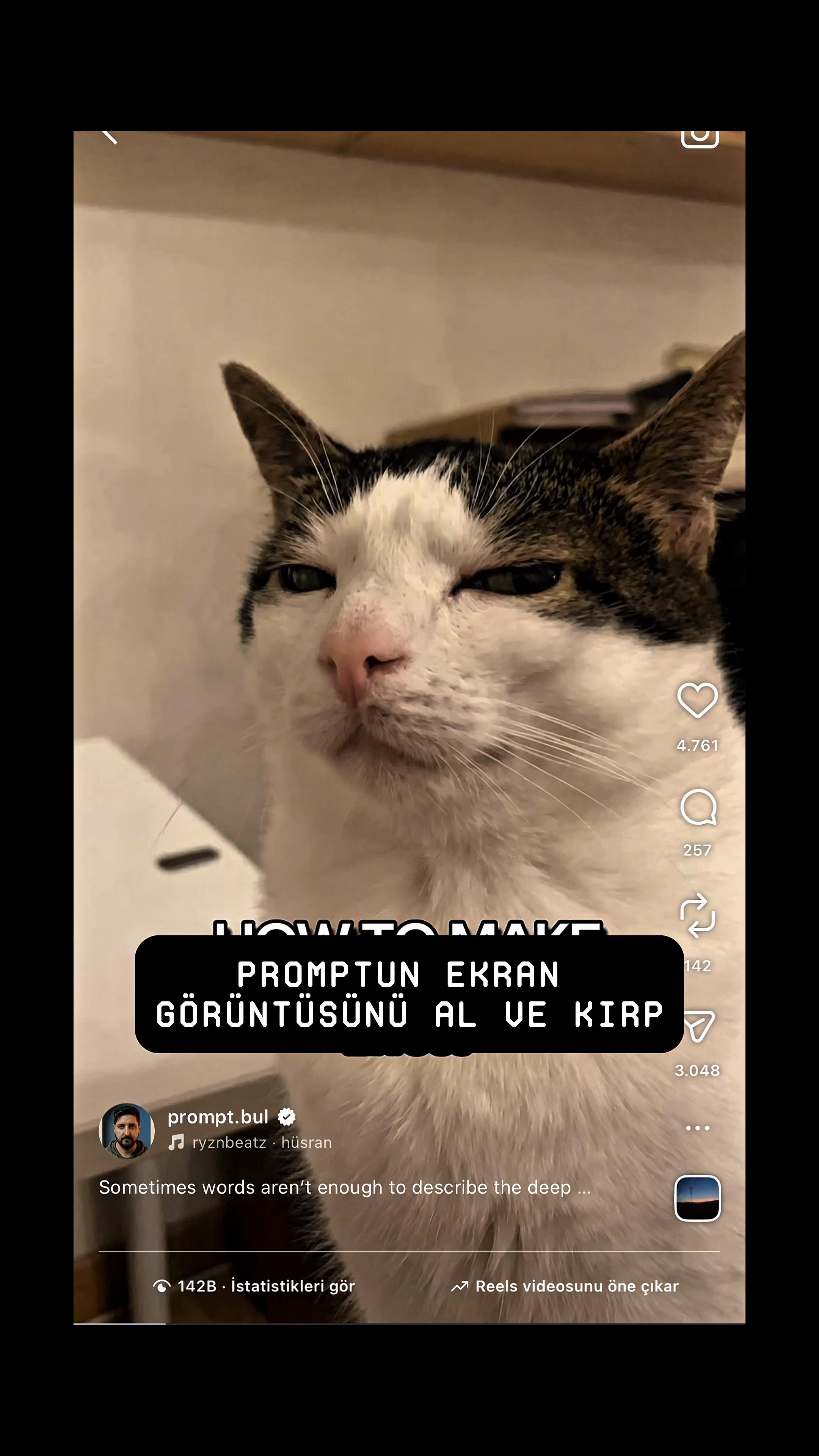 @Prompt.bul