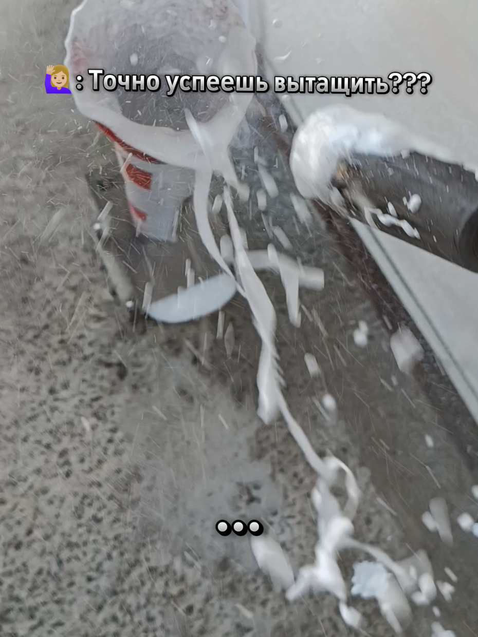 @ЛЯЩ 🦈