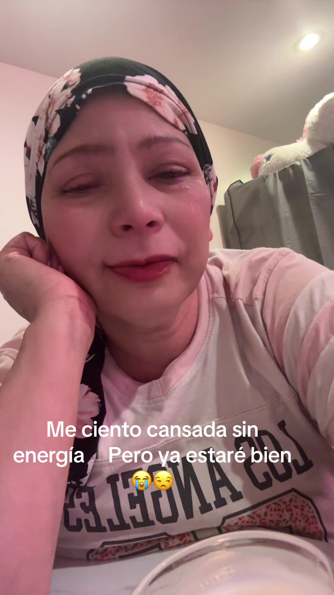 @Gatita Linda 😻🤝🥦💖🌺