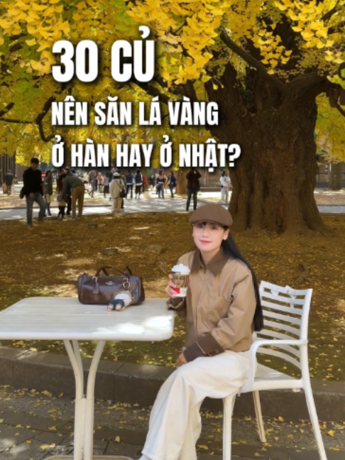 @Đi Nhật Cùng Nhâm