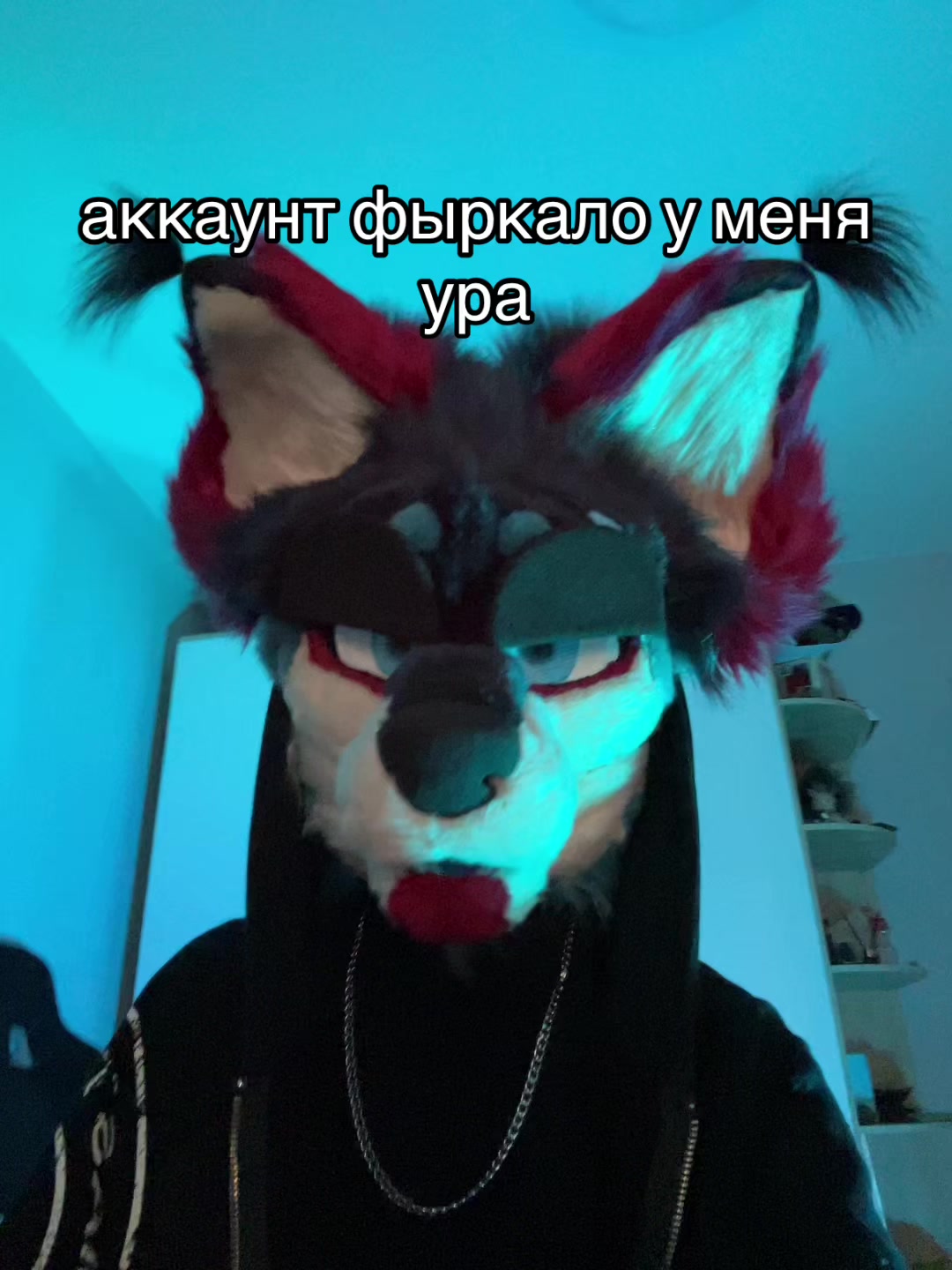 @фыркалко 🐾