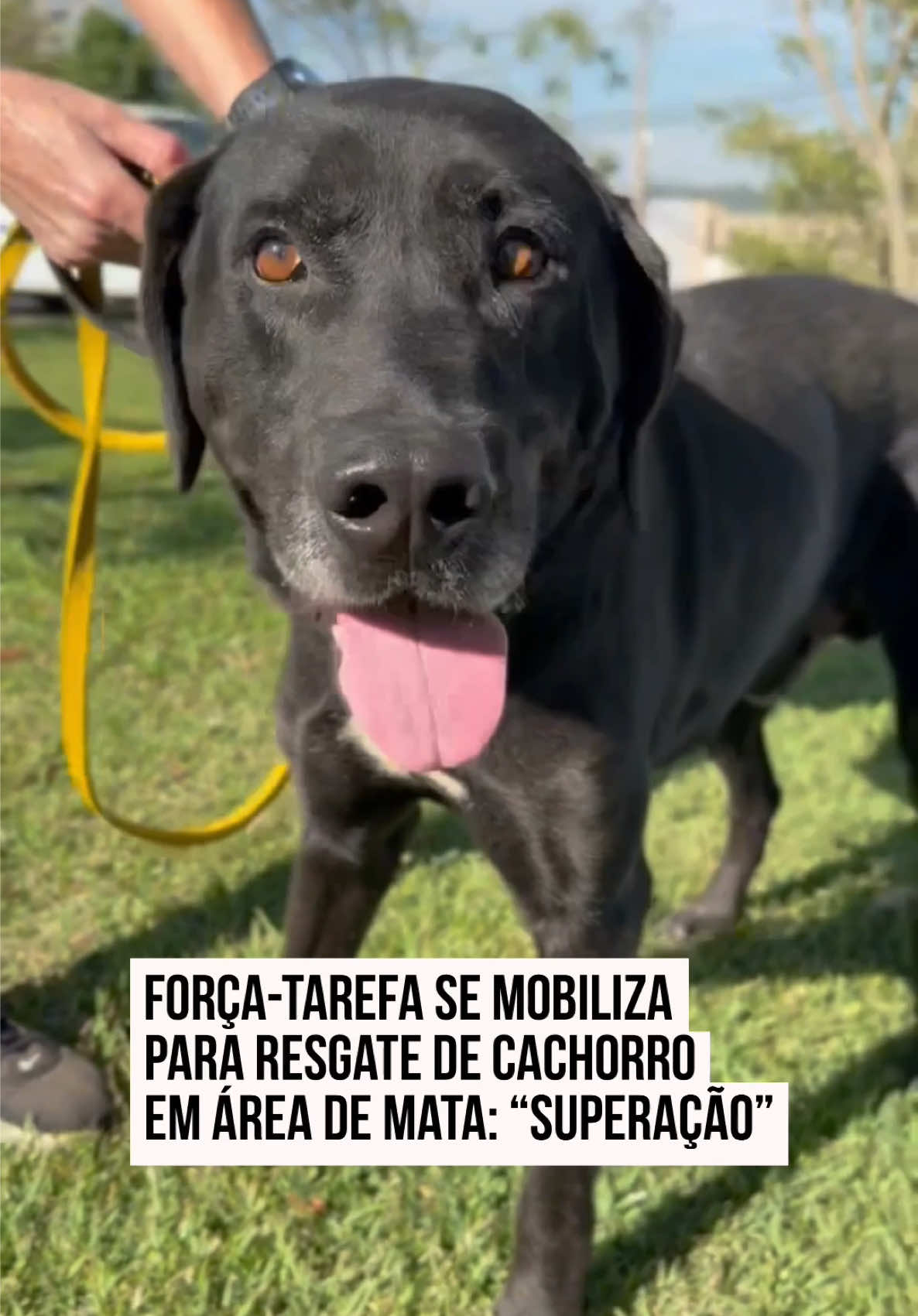 @Metrópoles Oficial