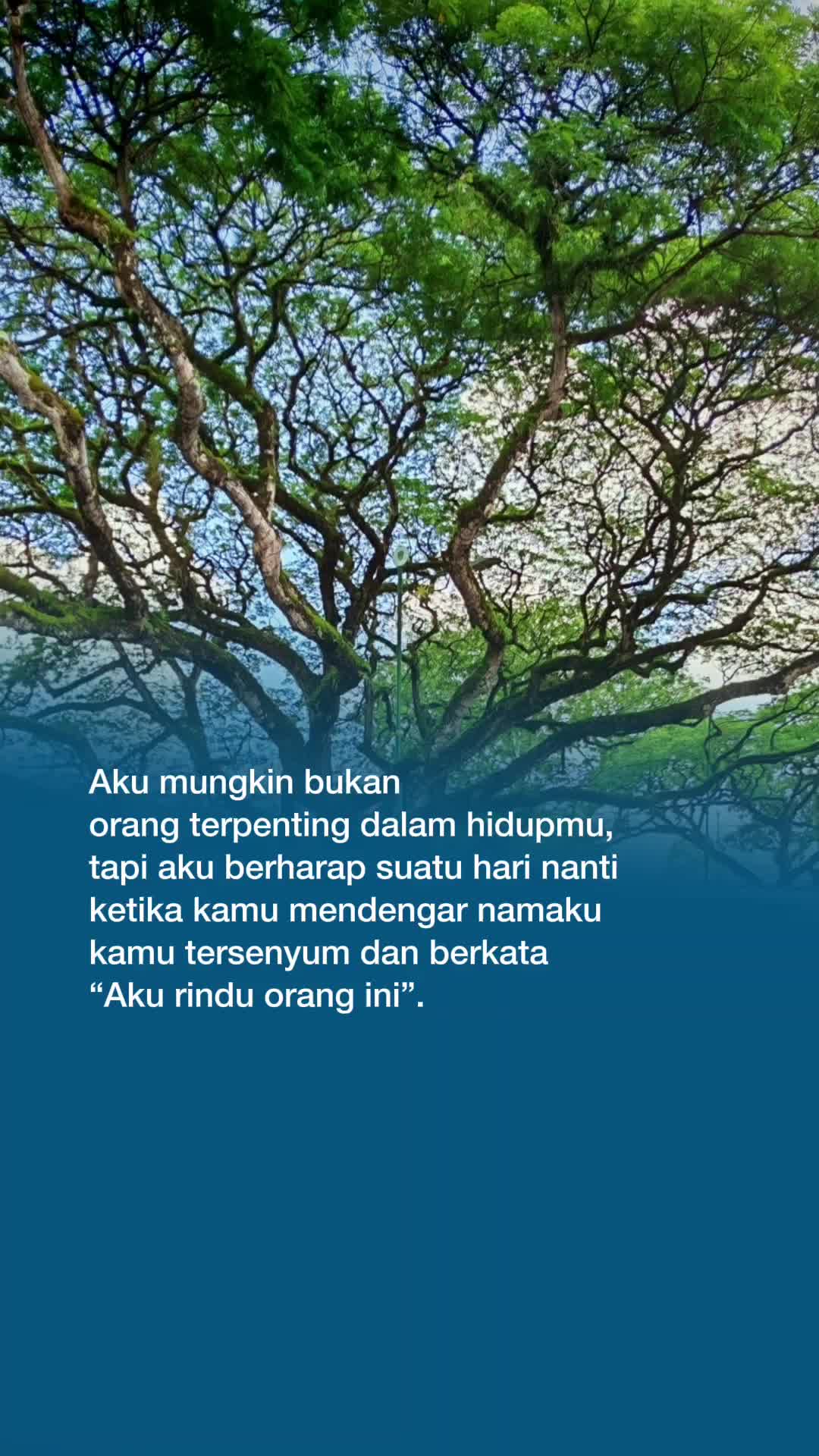 @Maslina Aron
