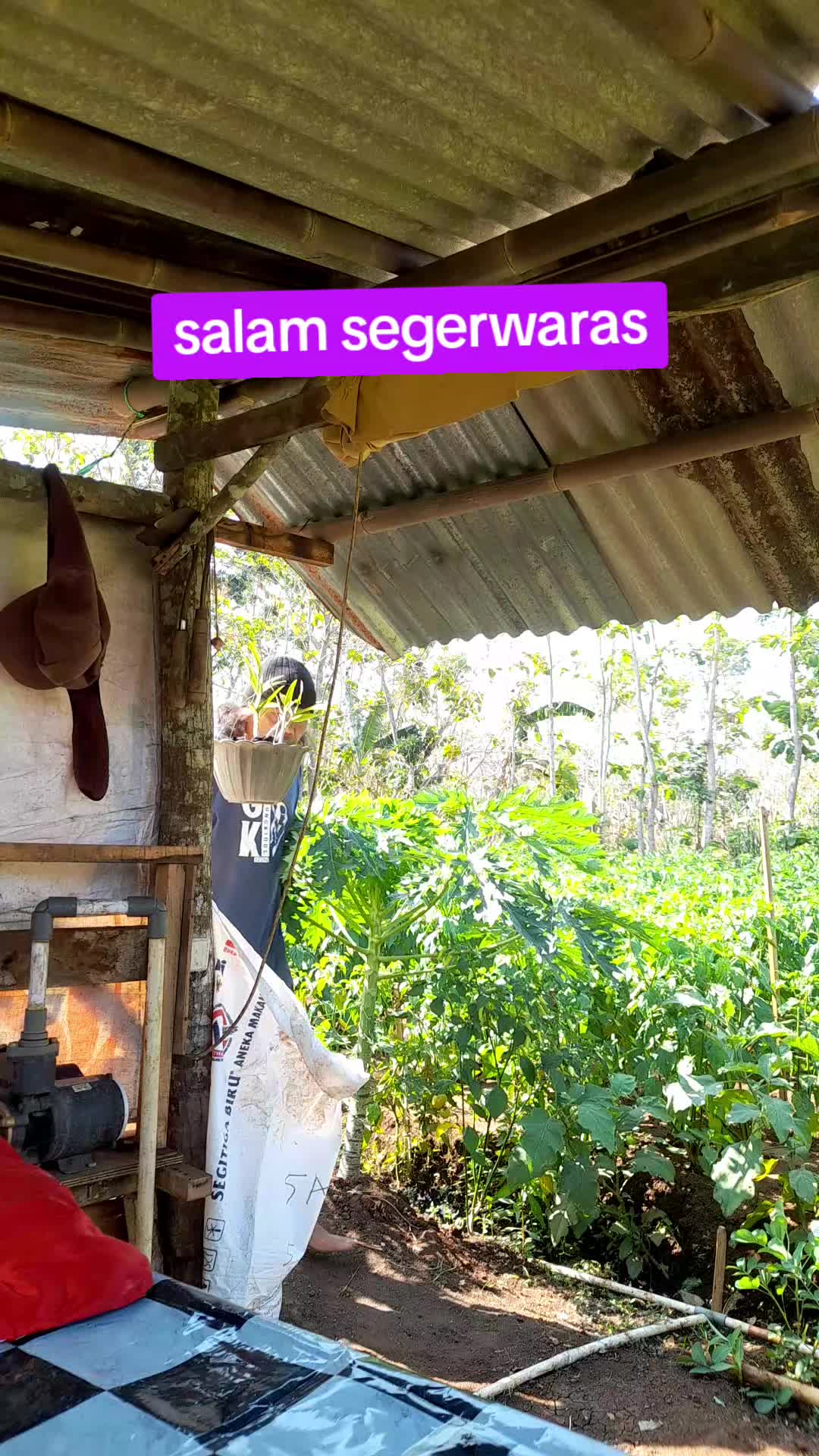 @SABREWALI