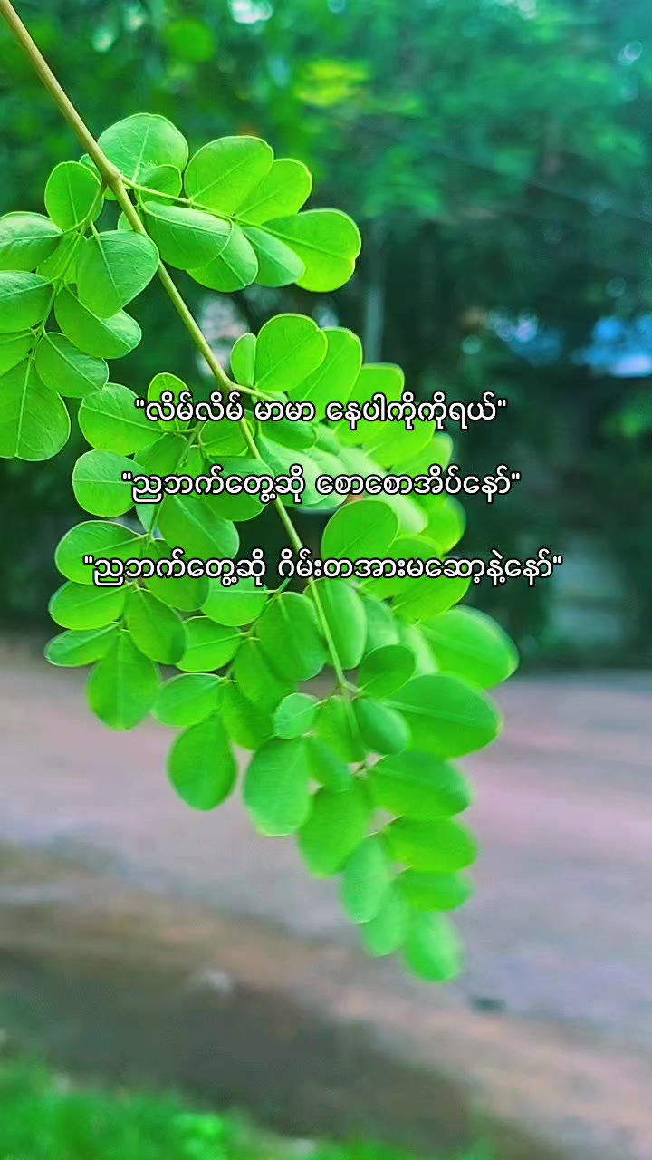 @๐ฅ๐ต๐๐๐ฆ๐ฅ๐ฟ๐๐ฆ๐ฅ(official)